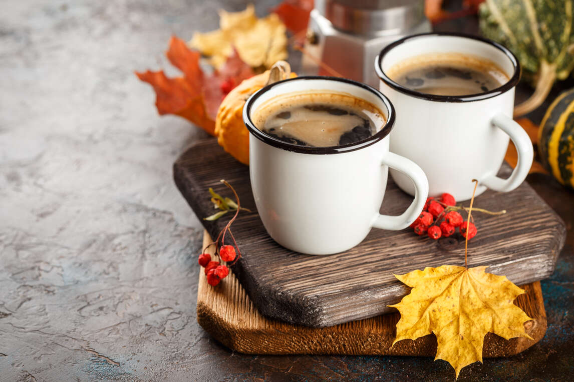 Thanksgiving Autumn Match Made Coffee MATCH MADE COFFEE